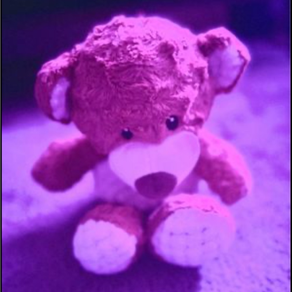 Spark NWOT Teddy Bear